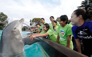 SeaWorld San Diego Camps & Trips – SeaWorld Educational .